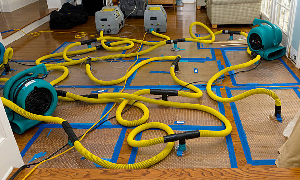 Professional Basement Flood Cleanup technician working in Belle Plaine, KS